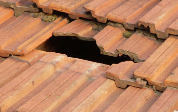 roof repair Moulton St Mary, Norfolk